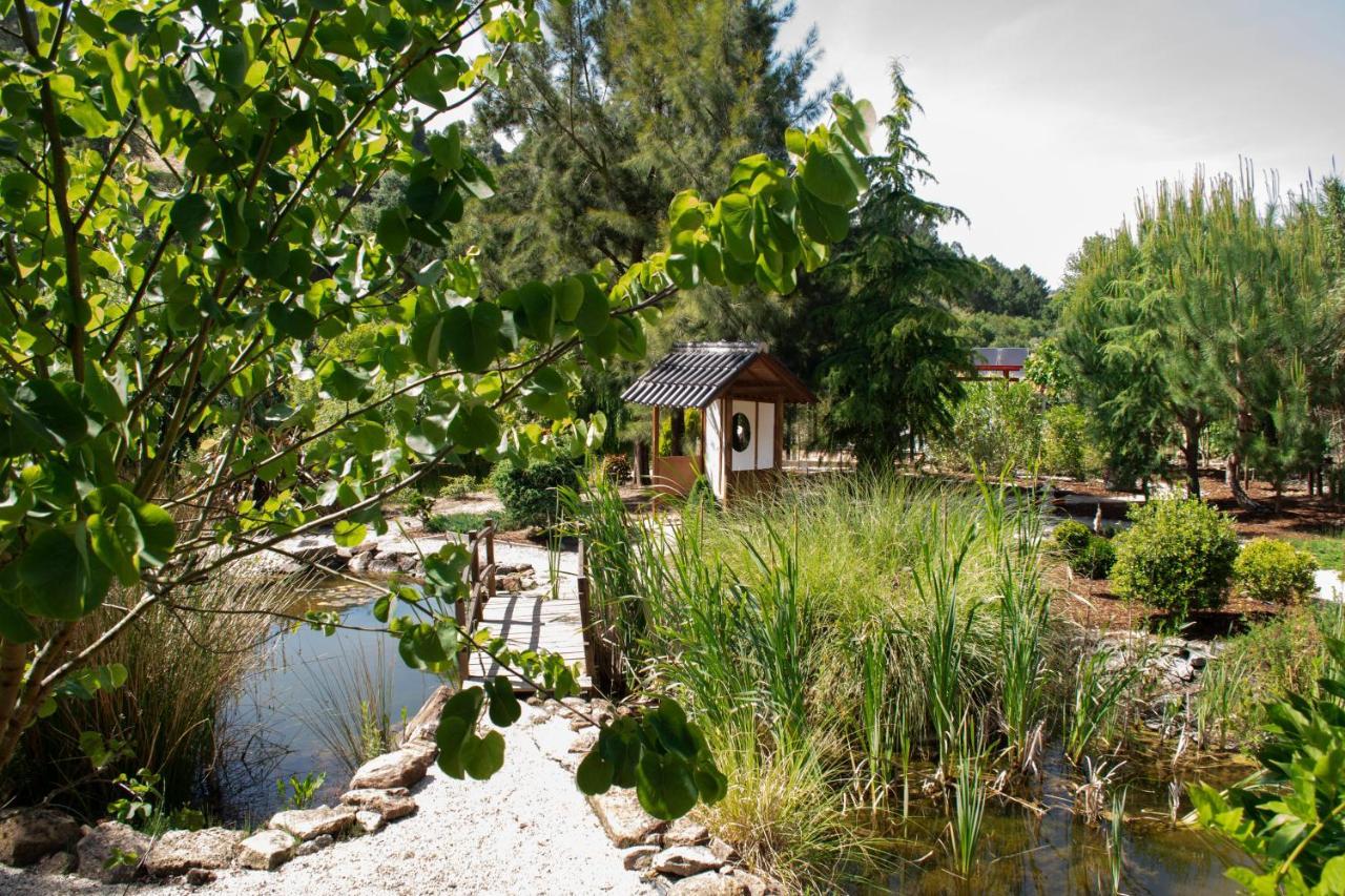 Quinta Japonesa Bed & Breakfast Carvalhal Bemfeito Eksteriør bilde