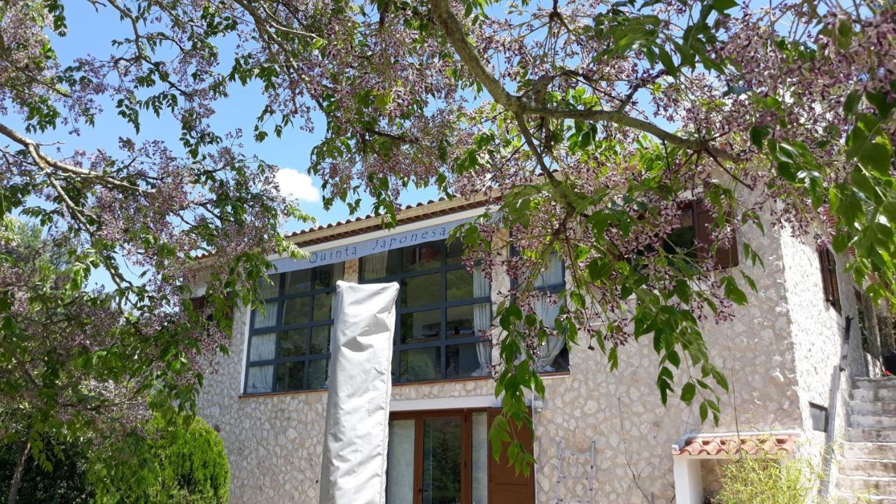 Quinta Japonesa Bed & Breakfast Carvalhal Bemfeito Eksteriør bilde