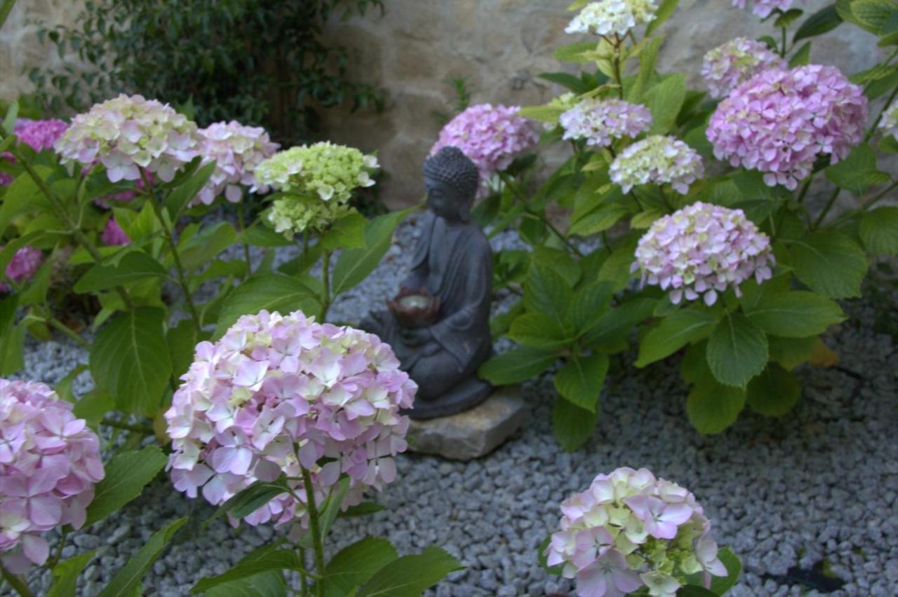 Quinta Japonesa Bed & Breakfast Carvalhal Bemfeito Eksteriør bilde